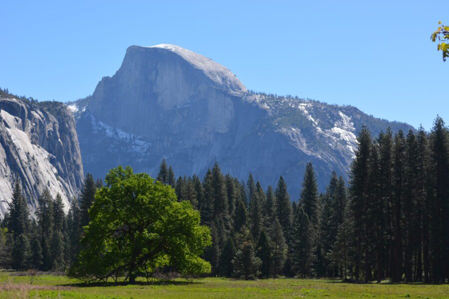 Half Dome in Yosemite National Park