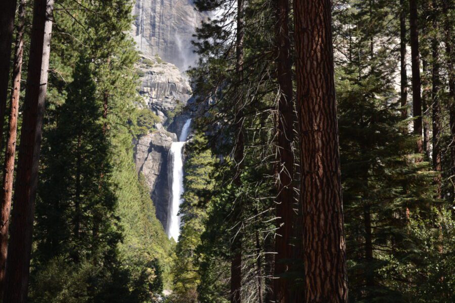 Yosemite Falls in Yosemite National Park