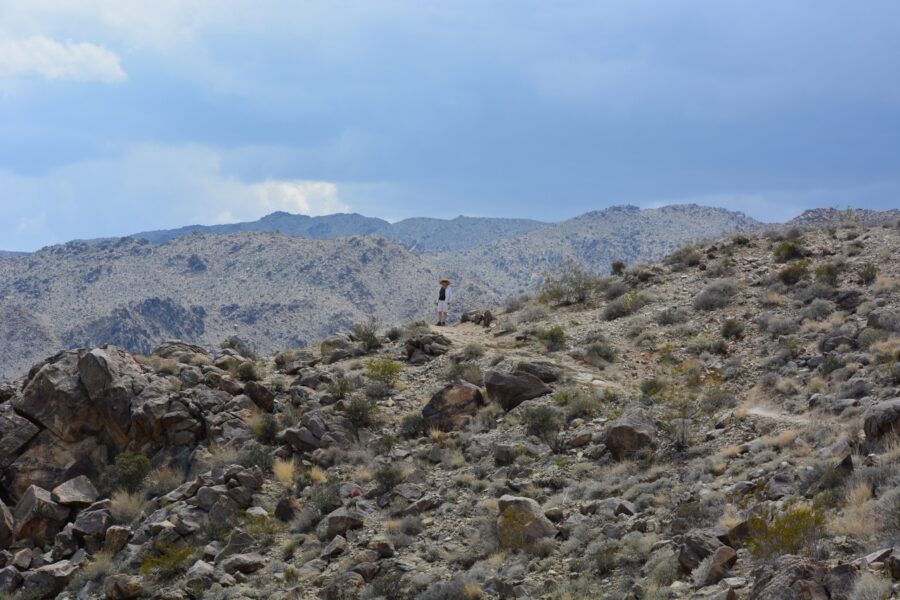 Kathy is hiking the trail to 49 Palms Oasis in Joshua Tree National Park.