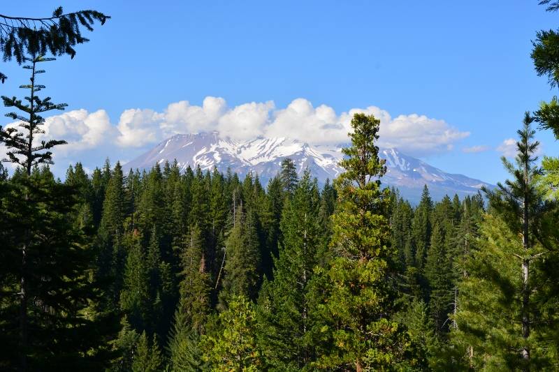 Nearby Mount Shasta was enshrouded with clouds the day of our hike. Photo by author Steven T. Callan.
