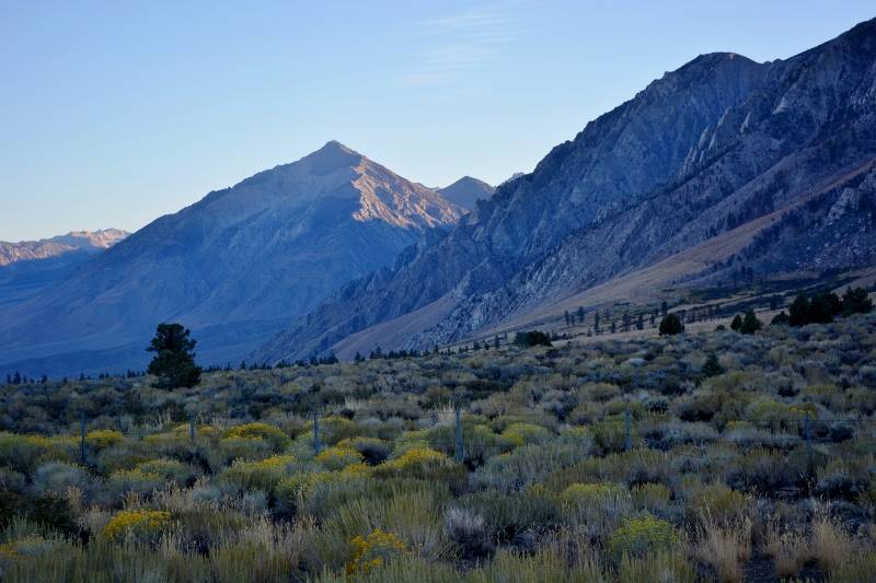 The east side of the Sierra Nevada Mountains, just west of Crowley Lake. Crowley Lake is featured in "Crowley Trout Opener," a chapter in Badges, Bears, and Eagles--The True-Life Adventures of a California Fish and Game Warden by Steven T. Callan.