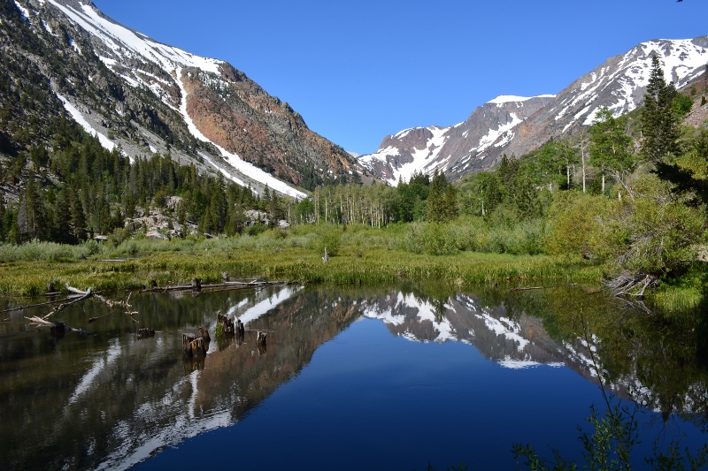 Beaver ponds on Mill Creek, upstream from Lundy Lake. Photo by Steven T. Callan.