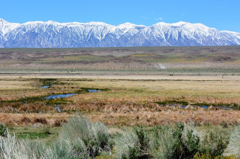 Panorama of Fish Slough. Photo by Steven T. Callan.