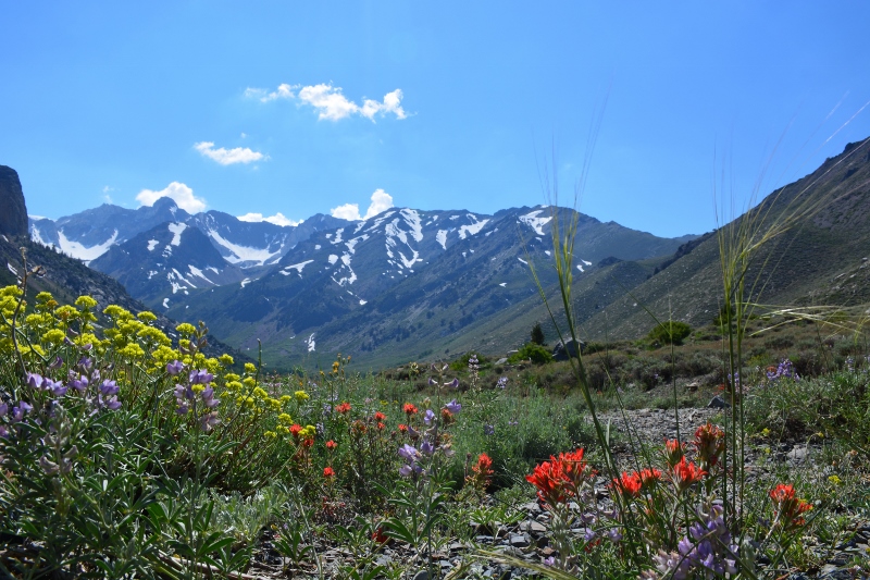 Gorgeous McGee Creek Canyon. Photo by Steven T. Callan.