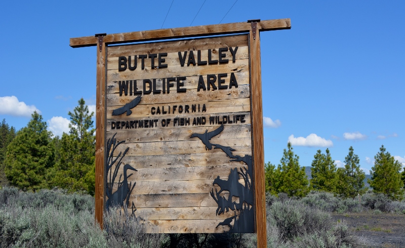 The Butte Valley Wildlife Area is our favorite birding site in Siskiyou County.