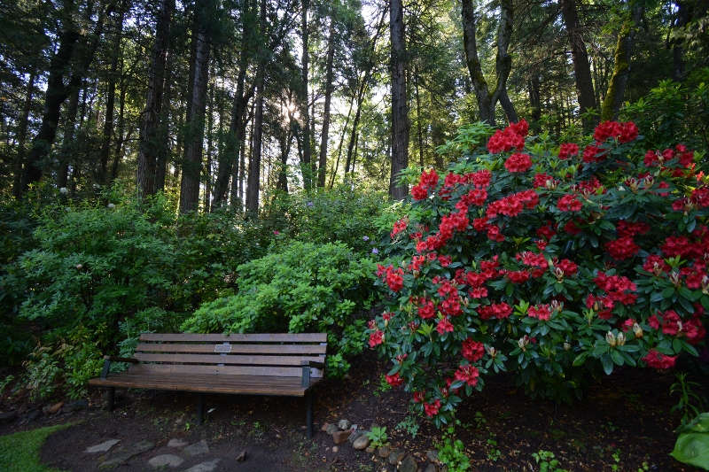 Dunsmuir Botanical Gardens offer a dazzling display of dogwoods, azaleas, and rhododendrons.