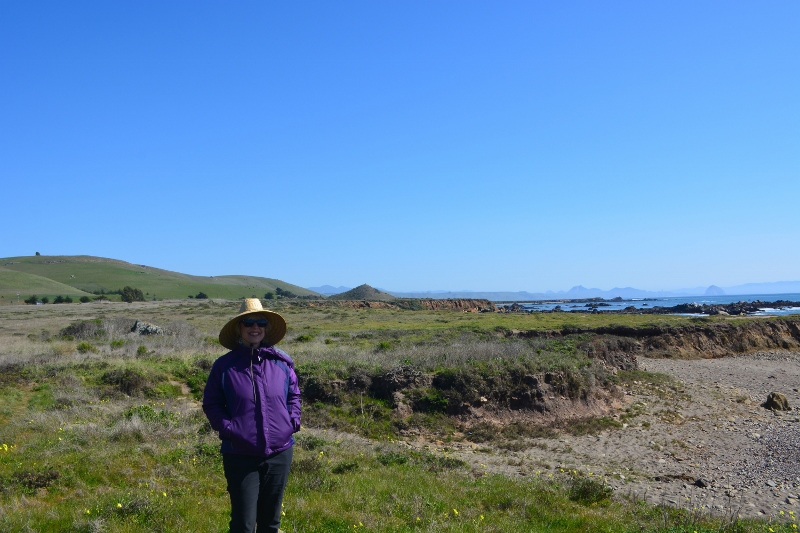 The trails at Estero Bluffs State Park led us through acres of green grass and wildflowers to a coastline of small, isolated beaches. Photo by author Steven T. Callan.