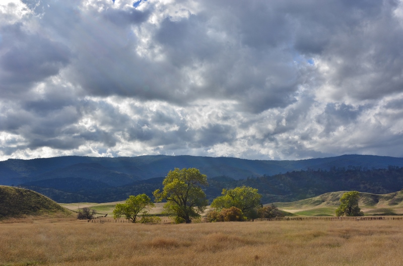 The countryside around Newville, just west of Orland, CA