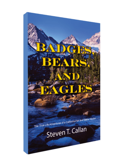 Badgers and Bears book cover