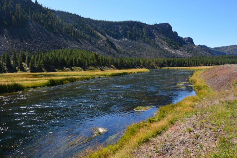 The Madison River flows through Yellowstone National Park.