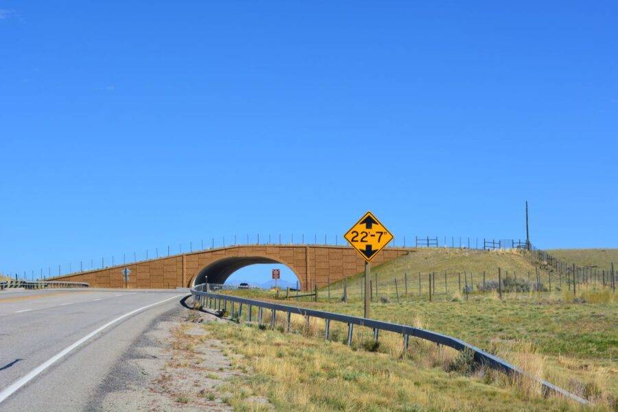 A wildlife overpass on Highway 191 near Pinedale, Wyoming, was designed to protect one of North America’s longest mammal migrations.