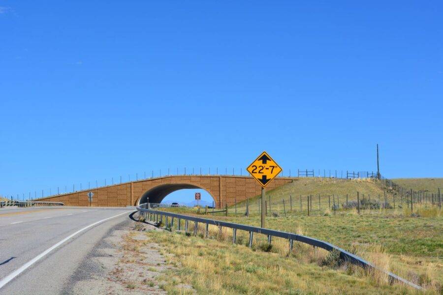 A wildlife overpass on Highway 191 near Pinedale, Wyoming, was designed to protect one of North America’s longest mammal migrations.